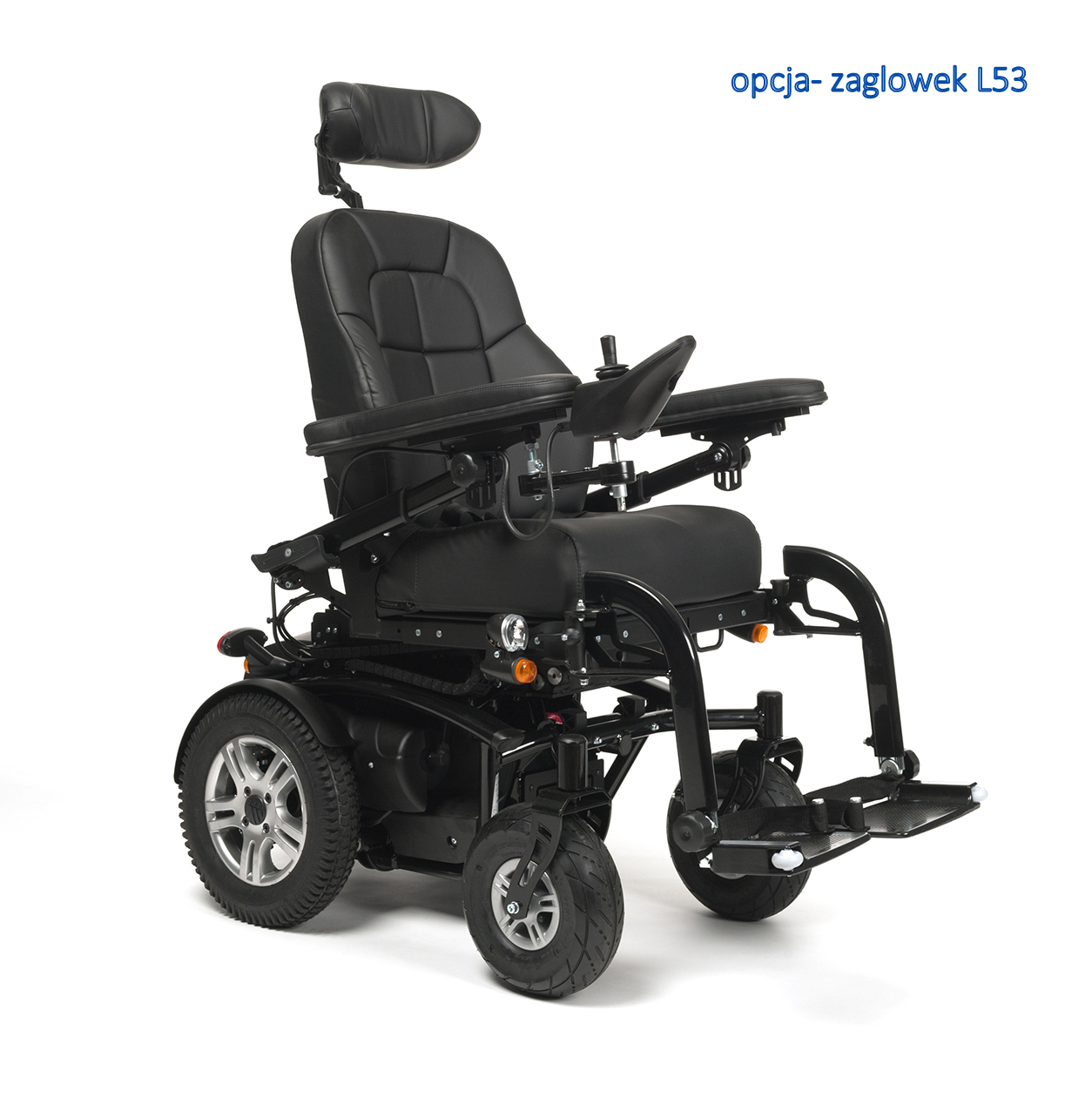 FOREST 3 - obrazek 6