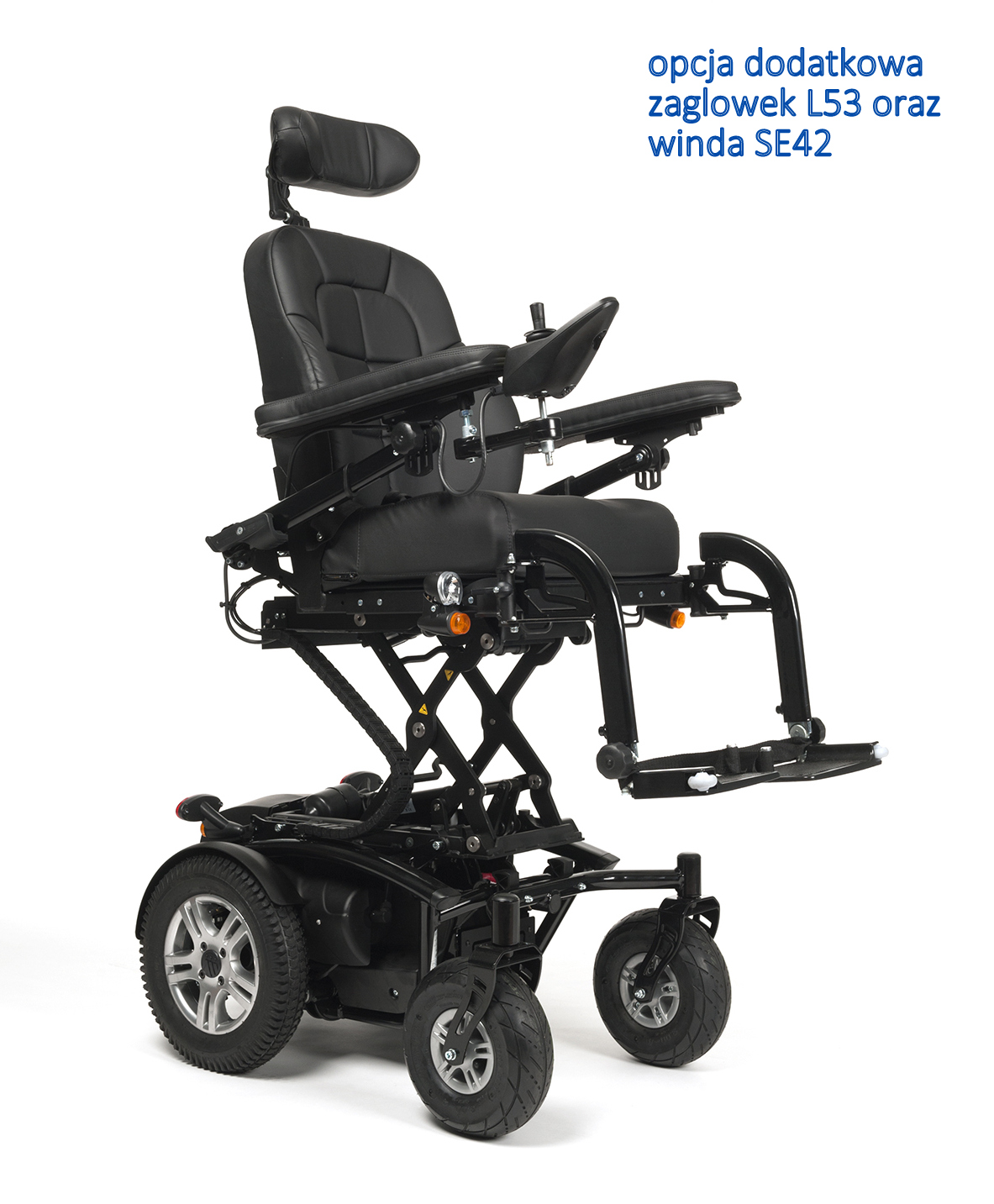 FOREST 3 - obrazek 7